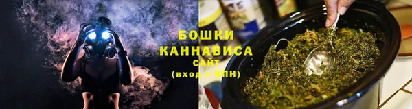 дживик Шарыпово