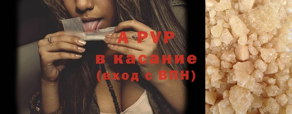 ECSTASY Шали