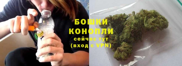дживик Шарыпово