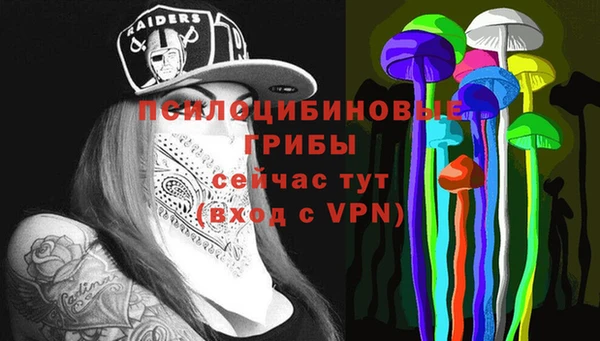 стафф Шадринск
