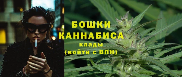 ECSTASY Шали