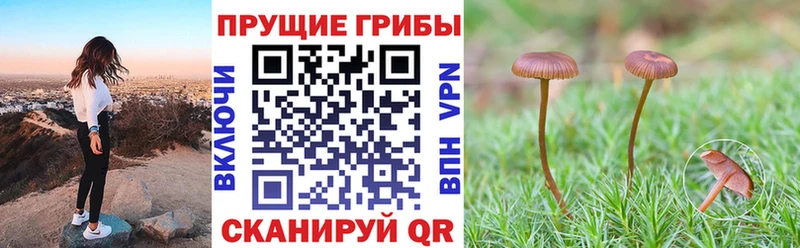 mega как войти  Белгород  Псилоцибиновые грибы мухоморы 