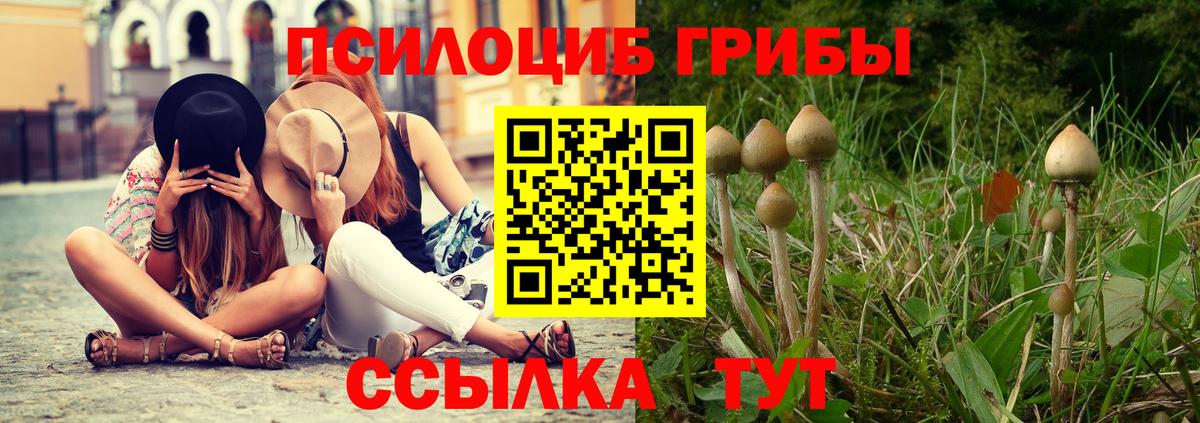 Псилоцибиновые грибы GOLDEN TEACHER Белгород